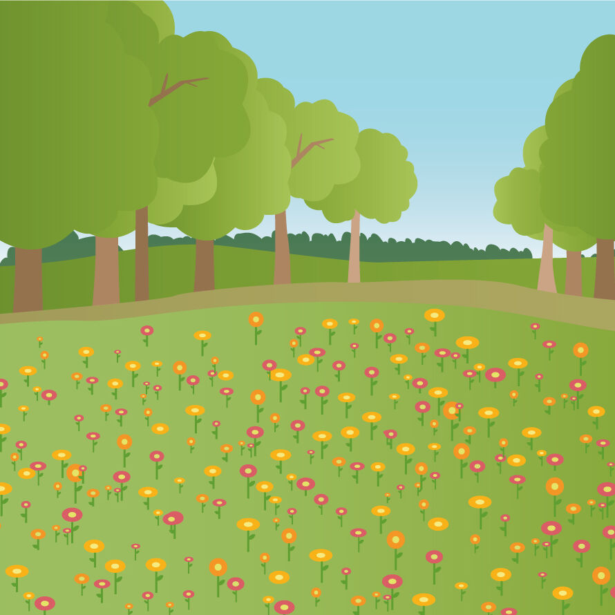 meadow.