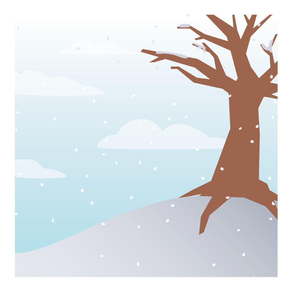 a0006i-winter.jpg
