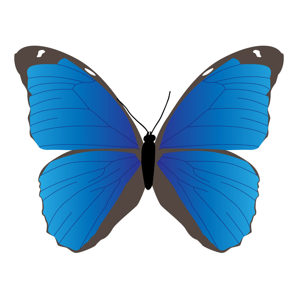 a0045i-butterfly.jpg