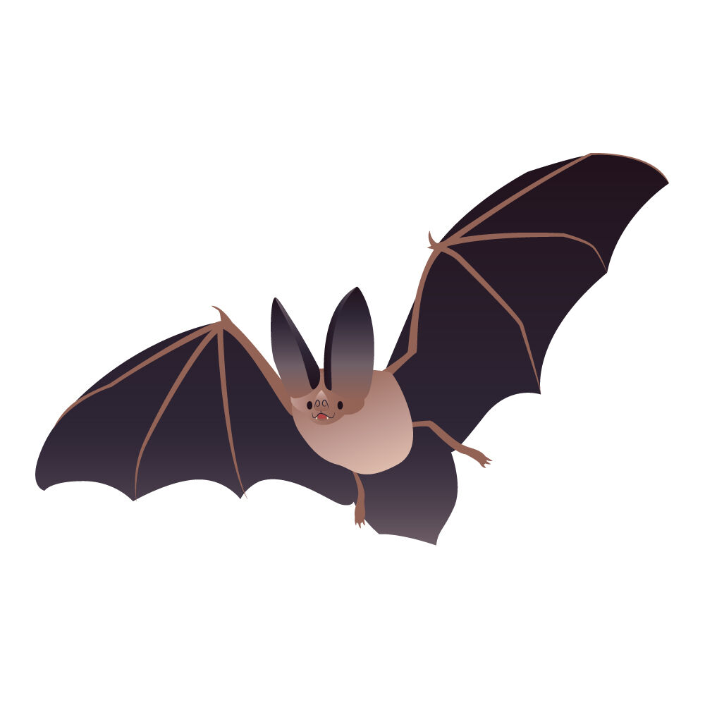 a0308i-bat.jpg