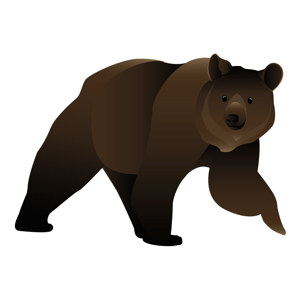 a0308i-bear.jpg