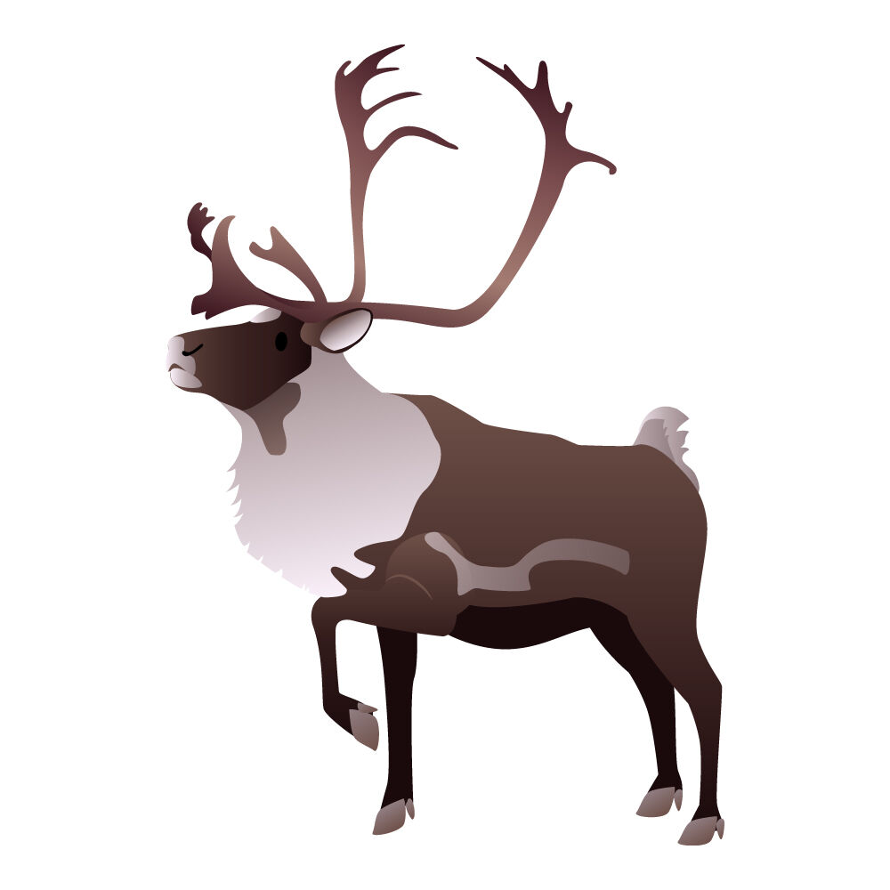 a0308i-caribou.jpg