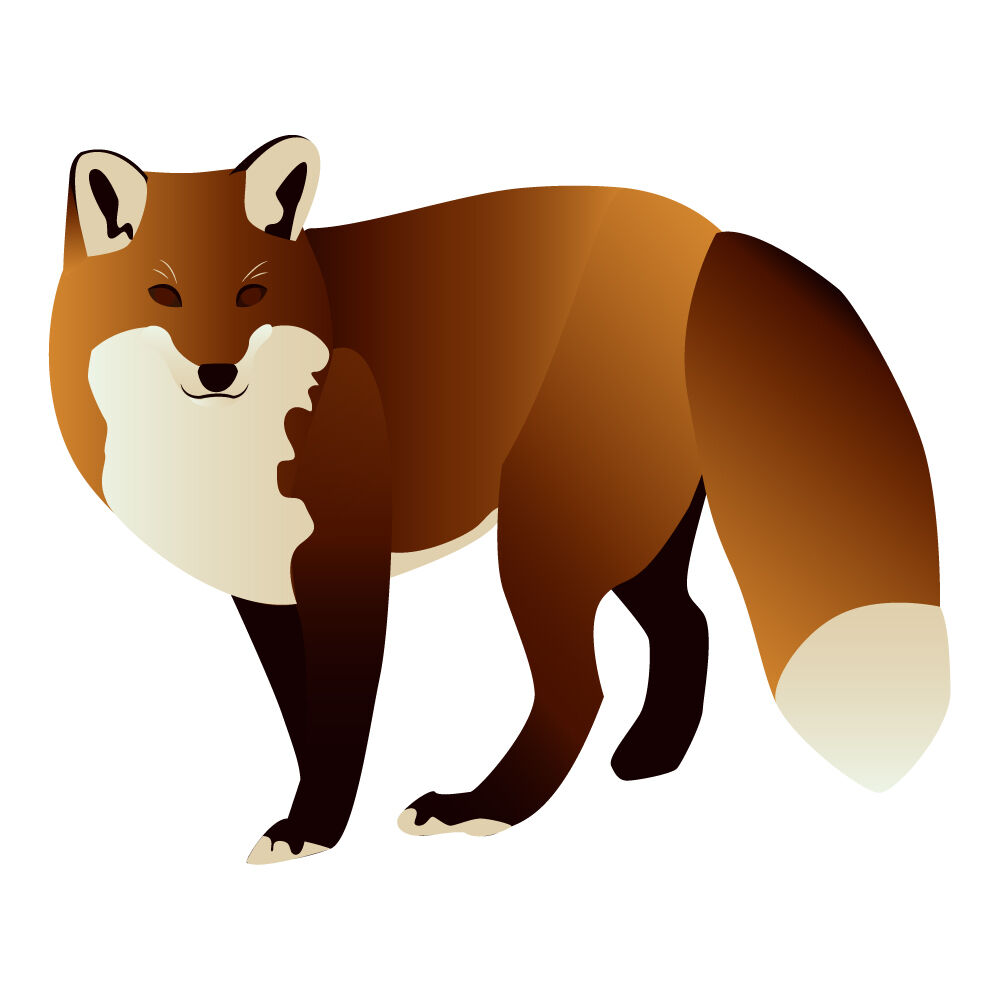 a0308i-fox.jpg