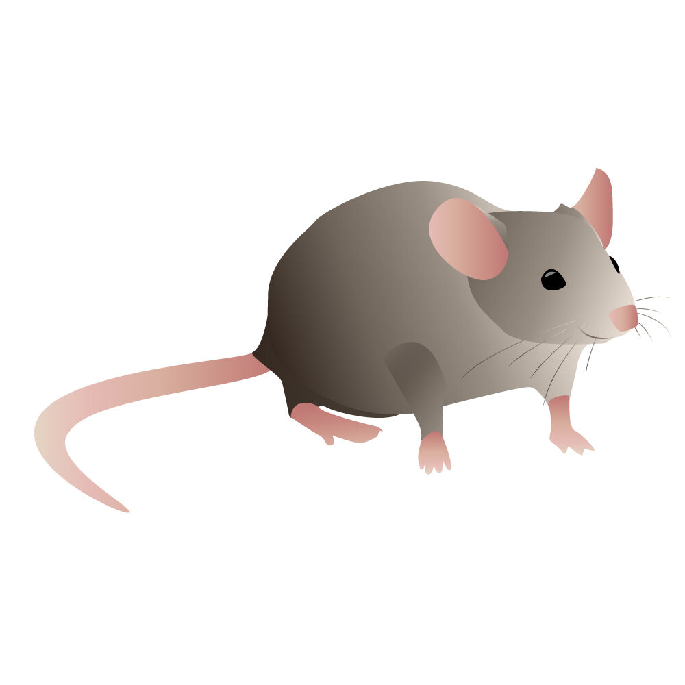 a0308i-mouse.jpg