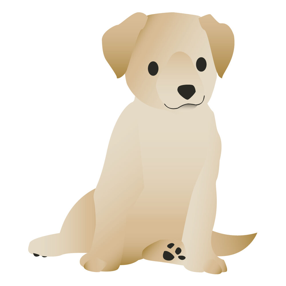 a0308i-puppy.jpg