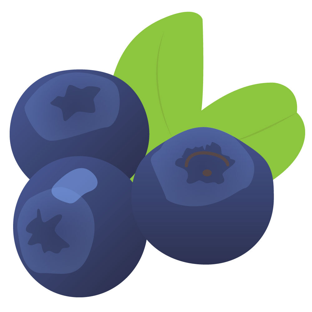 a0309i-blueberry.jpg