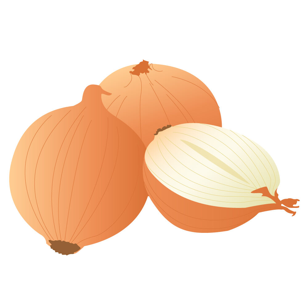 a0309i-onion.jpg
